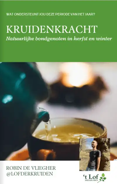 Herb Power: natural allies in autumn and winter Herb Power: natural allies in autumn and winter